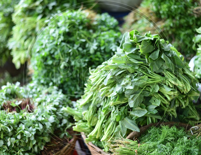 Fresh Greens at Local Vegetable Market/Rythu Bazar