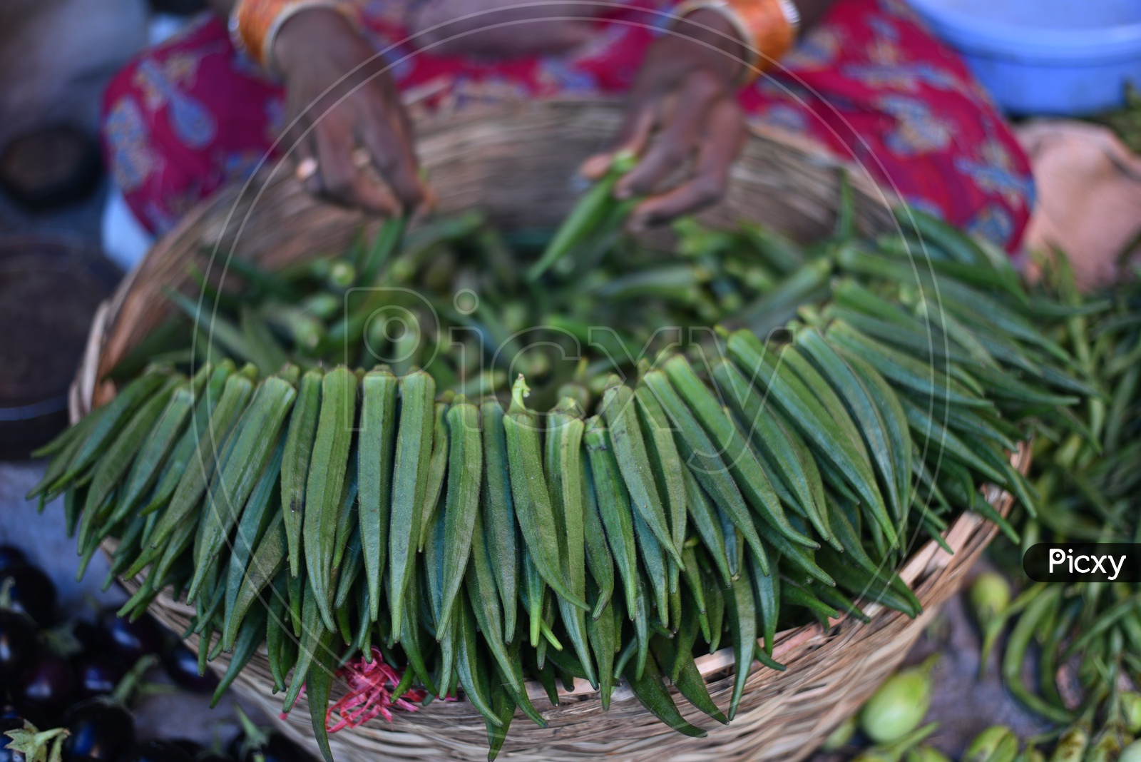 Ladys Finger at Local Vegetable Market/Rythu Bazar
