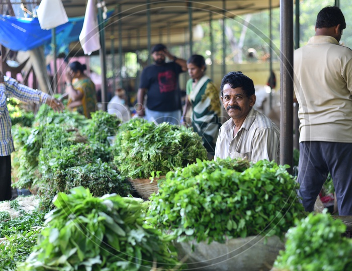 Vegetable (Fresh Greens) Seller at Local Market/Rythu Bazar