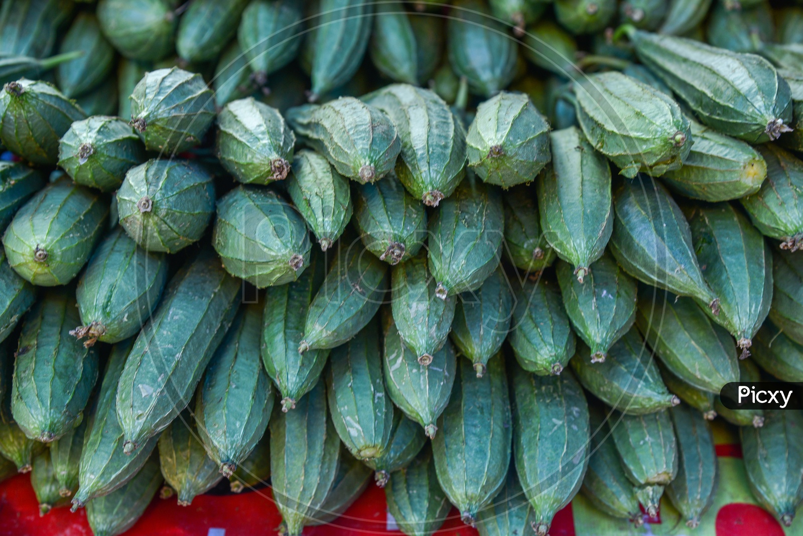 Ridge Gourd at Local Vegetable Market/Rythu Bazar