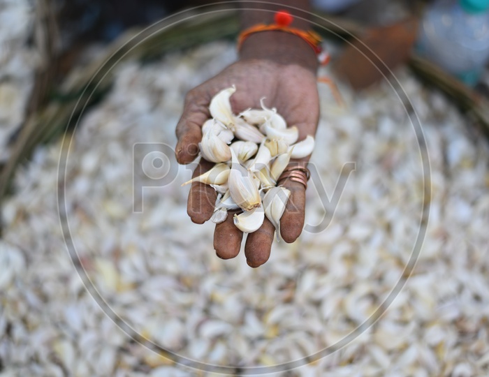 Garlic at Local Vegetable Market/Rythu Bazar