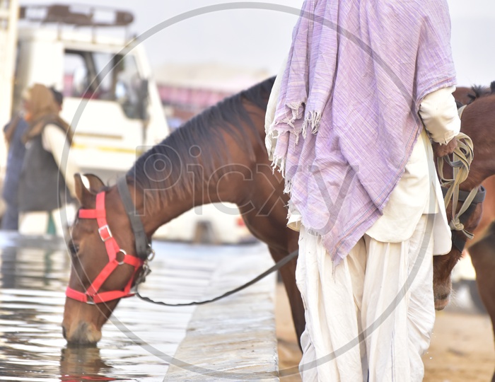 Pushkar Camel Fair, Phuskar, Rajasthan,India