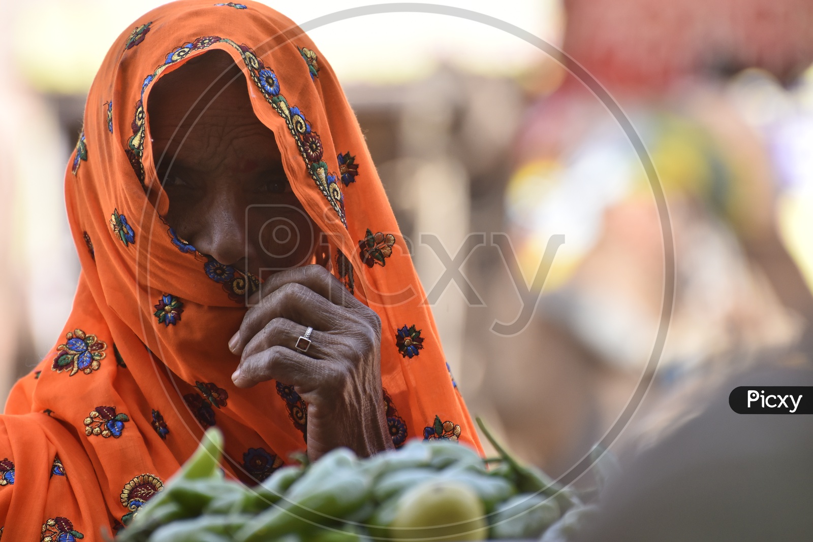Rajasthani Woman in Traditional Attire at Pushkar Camel Fair  at Pushkar Camel Fair