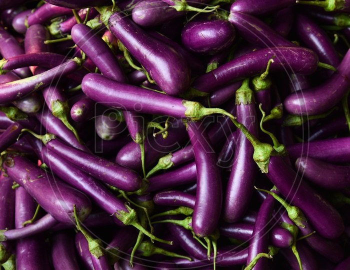 Vegetables -Purple Brinjal at Local Market/Rythu Bazar