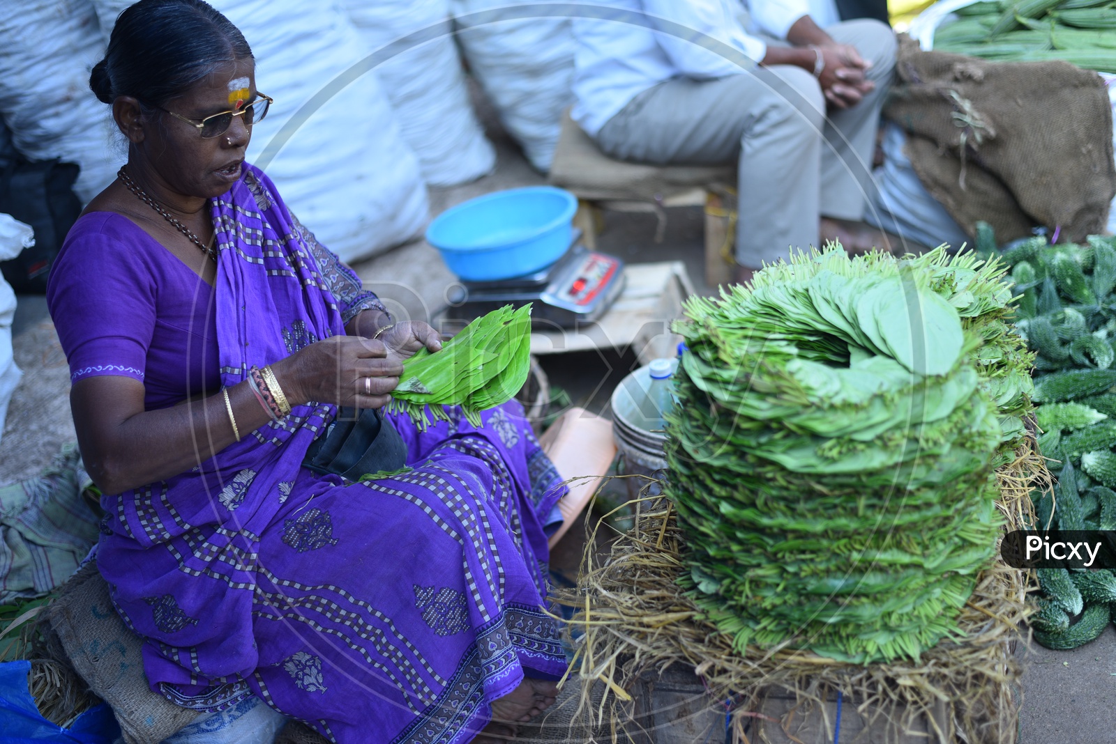 Betel leaves Seller at Local Vegetable Market/Rythu Bazar