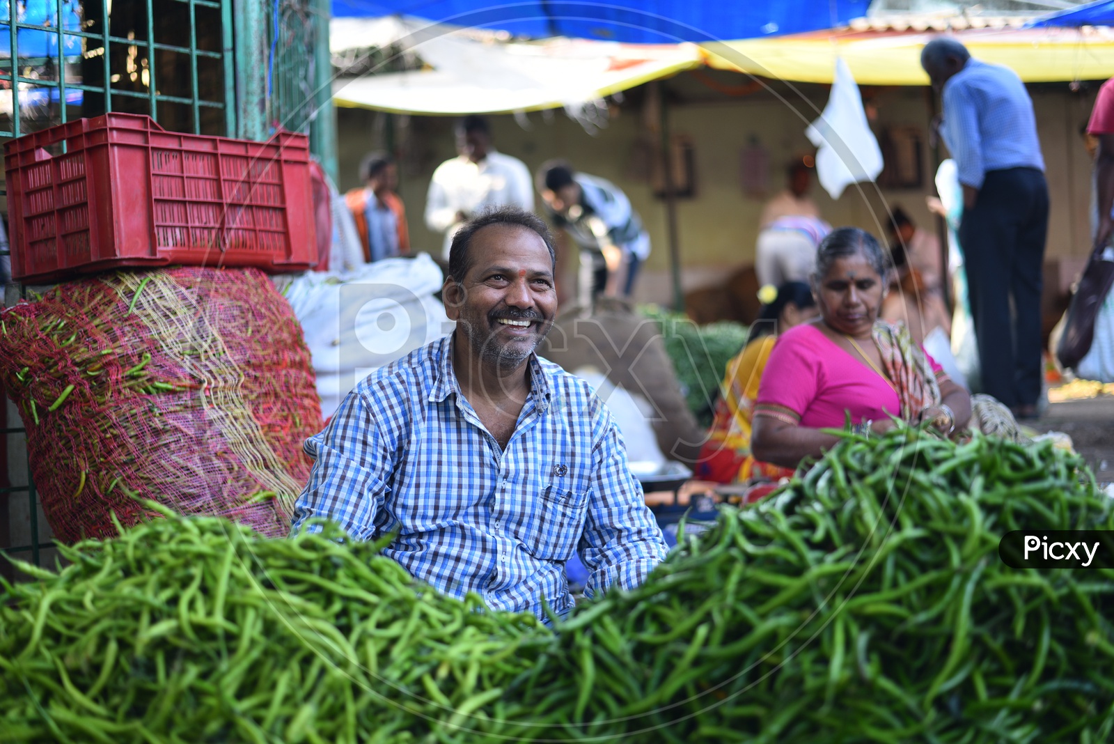 Green Chilli Seller at Local Vegetable Market/Rythu Bazar