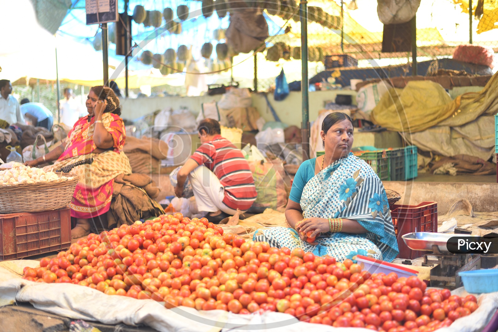Tomatoes Seller at Local Vegetable Market/Rythu Bazar
