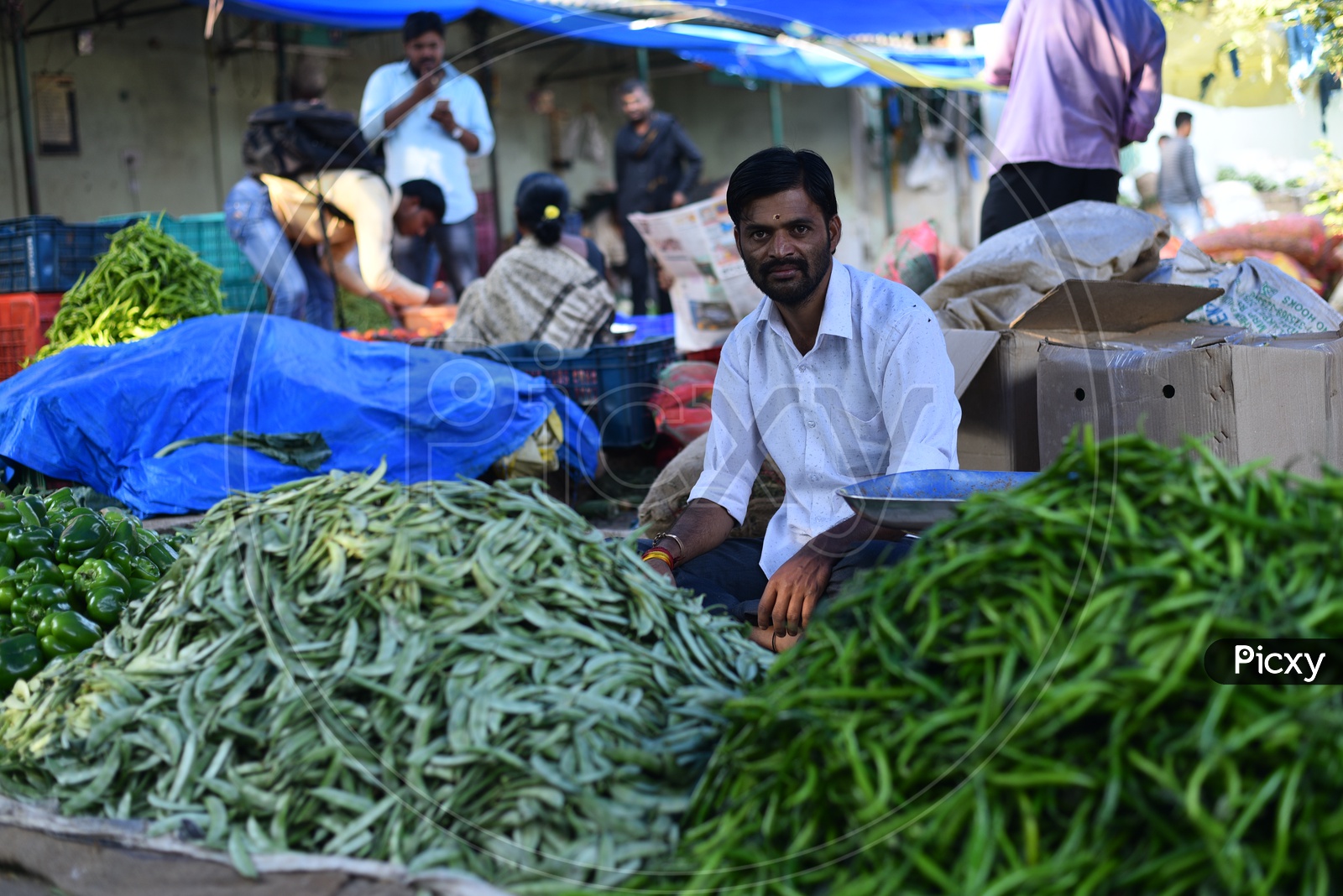 Vegetable Seller at Local Market/Rythu Bazar
