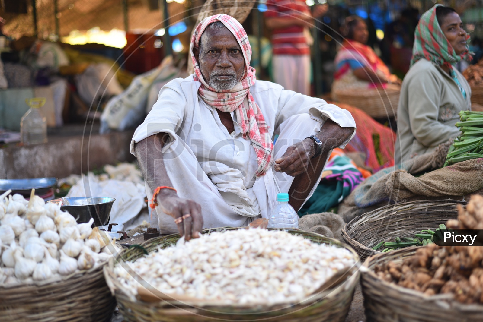 Garlic Seller at  Local Vegetable Market/Rythu Bazar