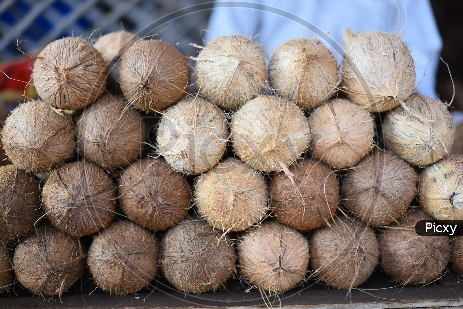 Stacked up Coconuts at Local Vegetable Market/Rythu Bazar