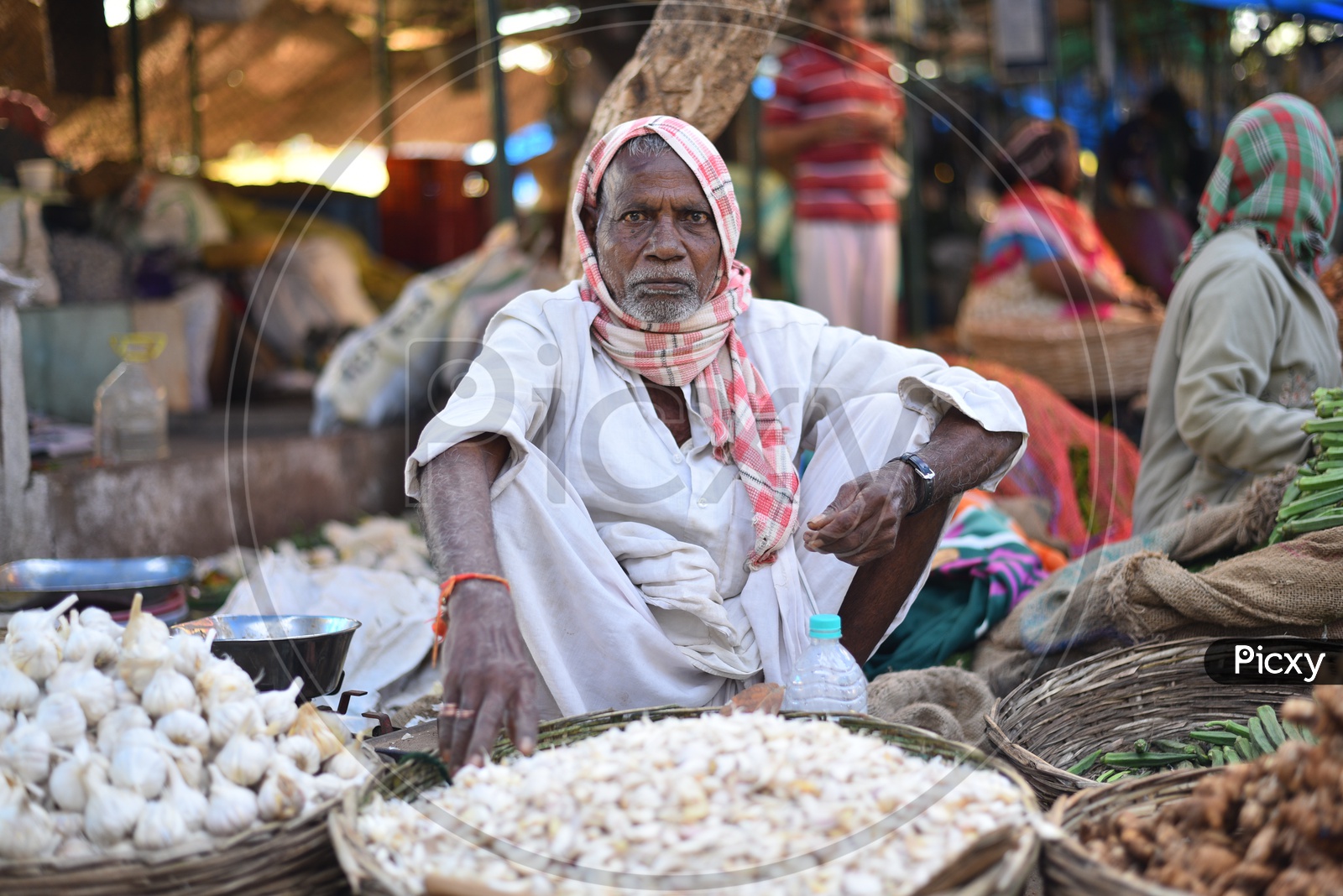 Garlic Seller at Local Vegetable Market/Rythu Bazar