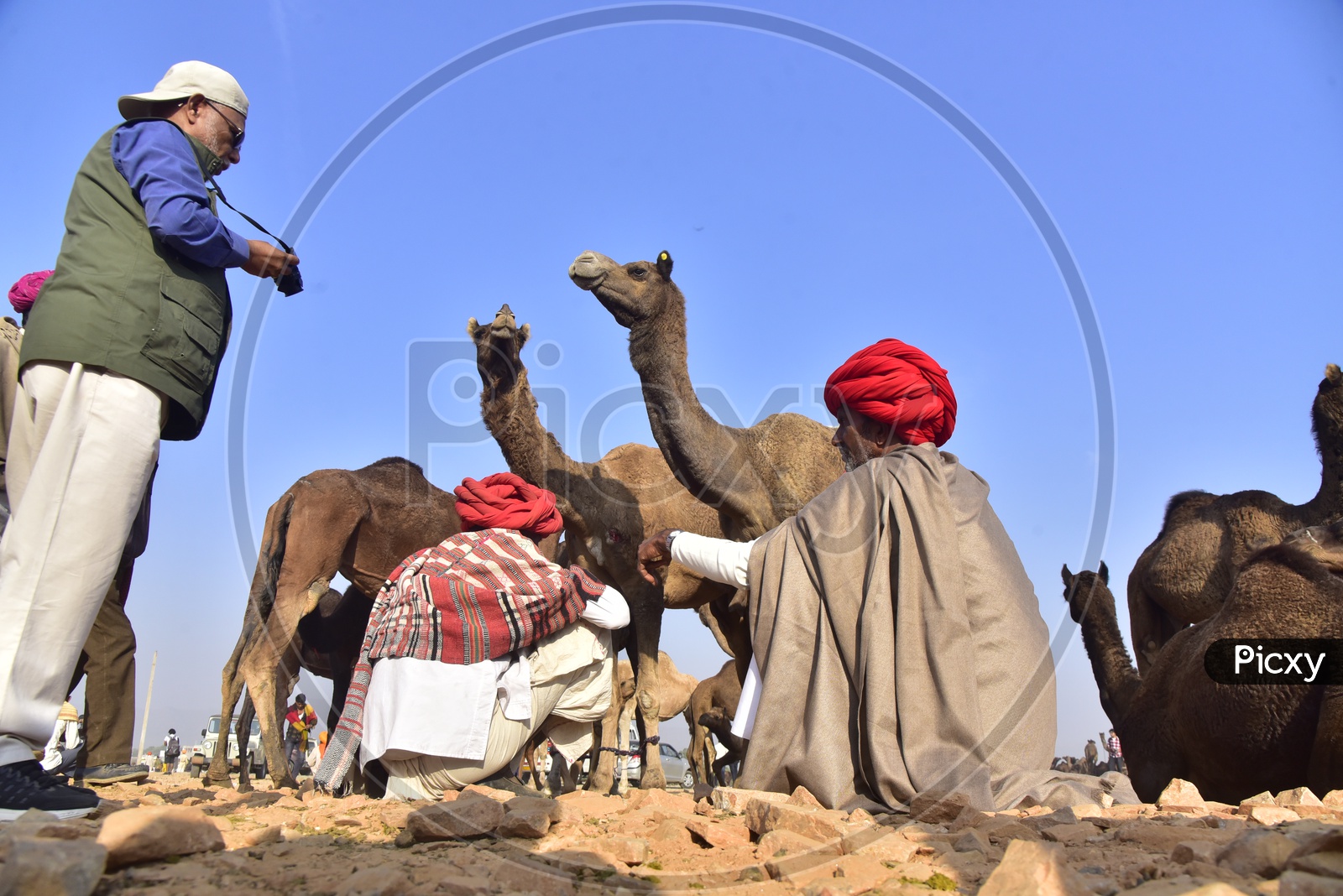 Rajasthani Men in Traditional Attire at Pushkar Camel Fair