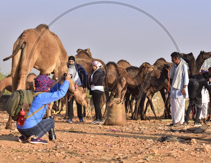 Foreign Tourist Taking Photo of Local Man at Pushkar Camel Fair