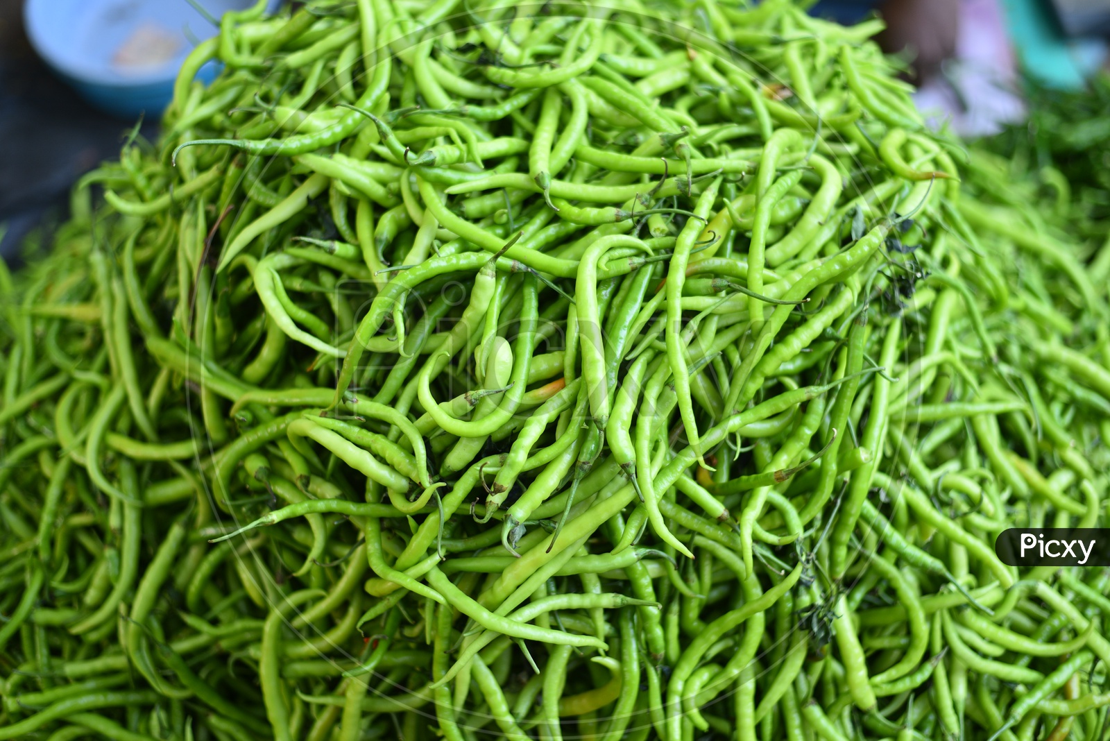 Vegetables - Green Chilli at Local Market/Rythu Bazar