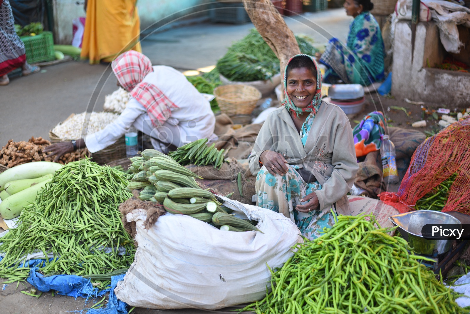Vegetable Seller at  Local Market/Rythu Bazar