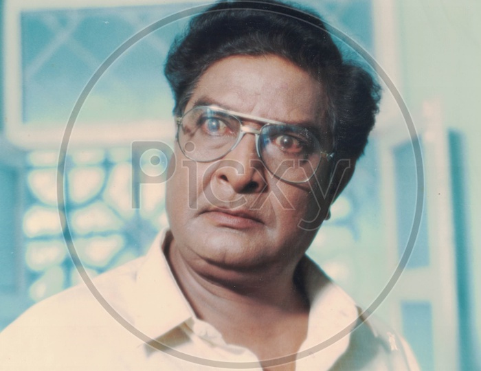 Kaikala Satyanarayana Actor  in  Amma Rajeenama Telugu Movie