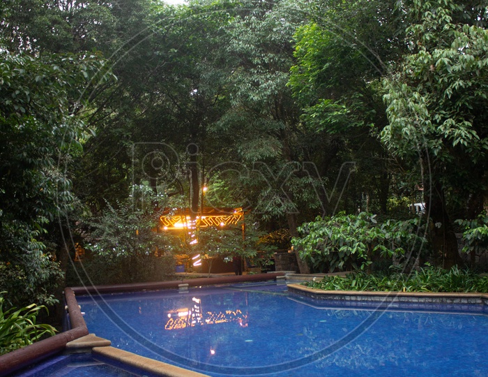 Swimming Pool In Resorts of Madikeri or Coorg /  Resorts in  Madikeri Or Coorg