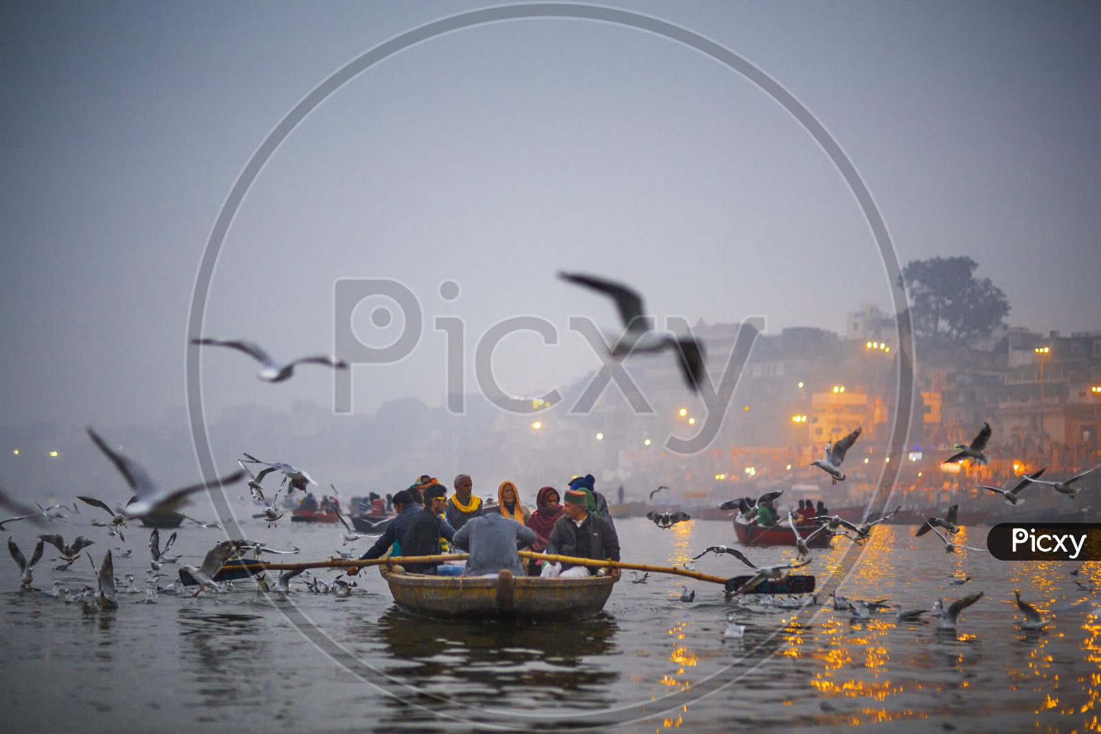 Boat Sailing  in Ganga River Varanasi / Siberian Birds in Varanasi/ Migratory Birds in Varanasi  / Boat Transport in Varanasi