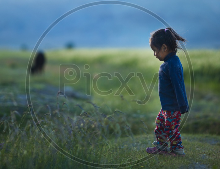 A Girl Child in Leh / Pastures in Leh