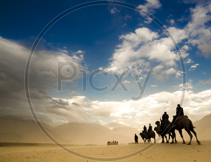 Camel Safari in  Leh / Views of Leh