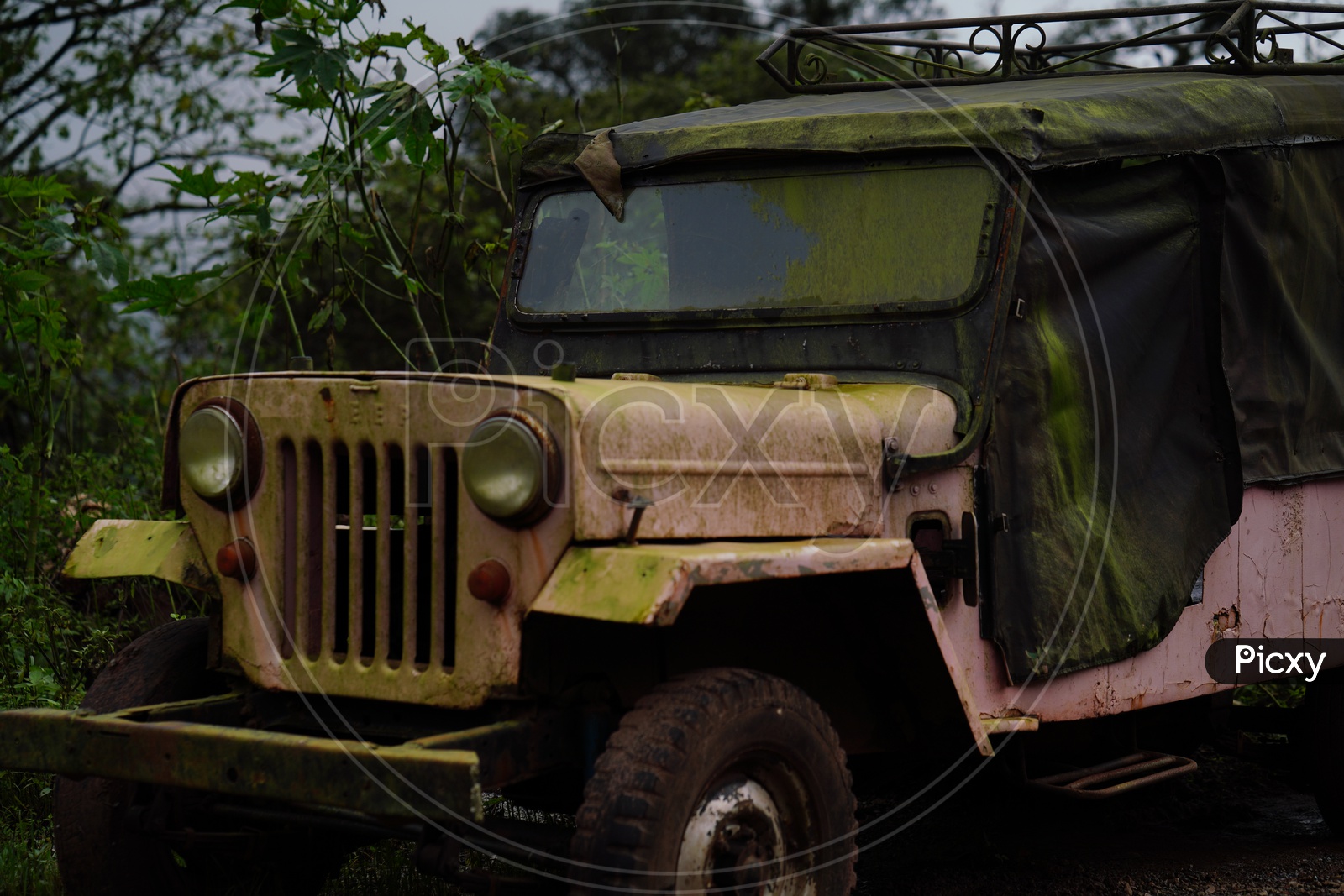 Vintage Vehicle Jeep in Chickmangalur