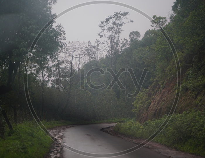Foggy Mornings in Chickmangalur / Views of Chickmangalur / Commuting Roads  in Chickmangalur