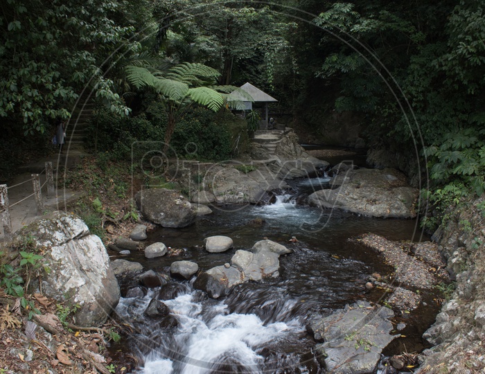 Water Falls In Bali / Forests in Bali / Views Of Bali / Forest Views of Bali