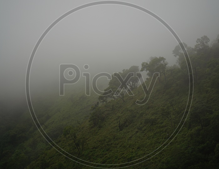Foggy Mornings in Chickmangalur / Valley Views of Chickmangalur / Forests  in Chickmangalur