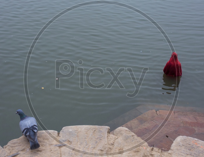 Piligrims Holy Dip in Ganga River / Women taking Holy Dip in Ganga River at Varanasi