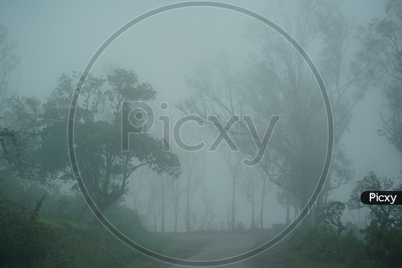 Views  of Chickmangalur / Valleys Chickmangalur/ Forests Scapes/ Foggy mornings Chickmangalur
