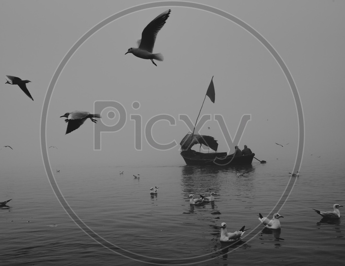 Sailing Boats on River ganga / Varanasi Boat Transport / Siberian Birds on River Ganga/ Migratory Birds in Varanasi