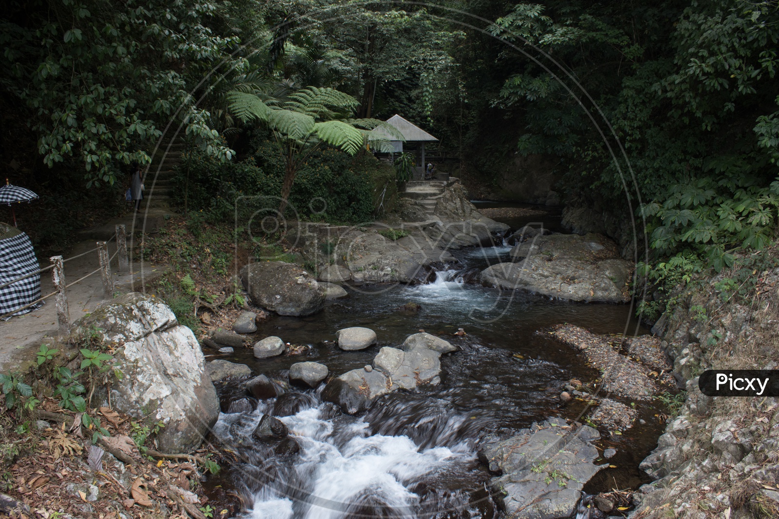Water Falls In Bali / Forests in Bali / Views Of Bali / Forest Views of Bali