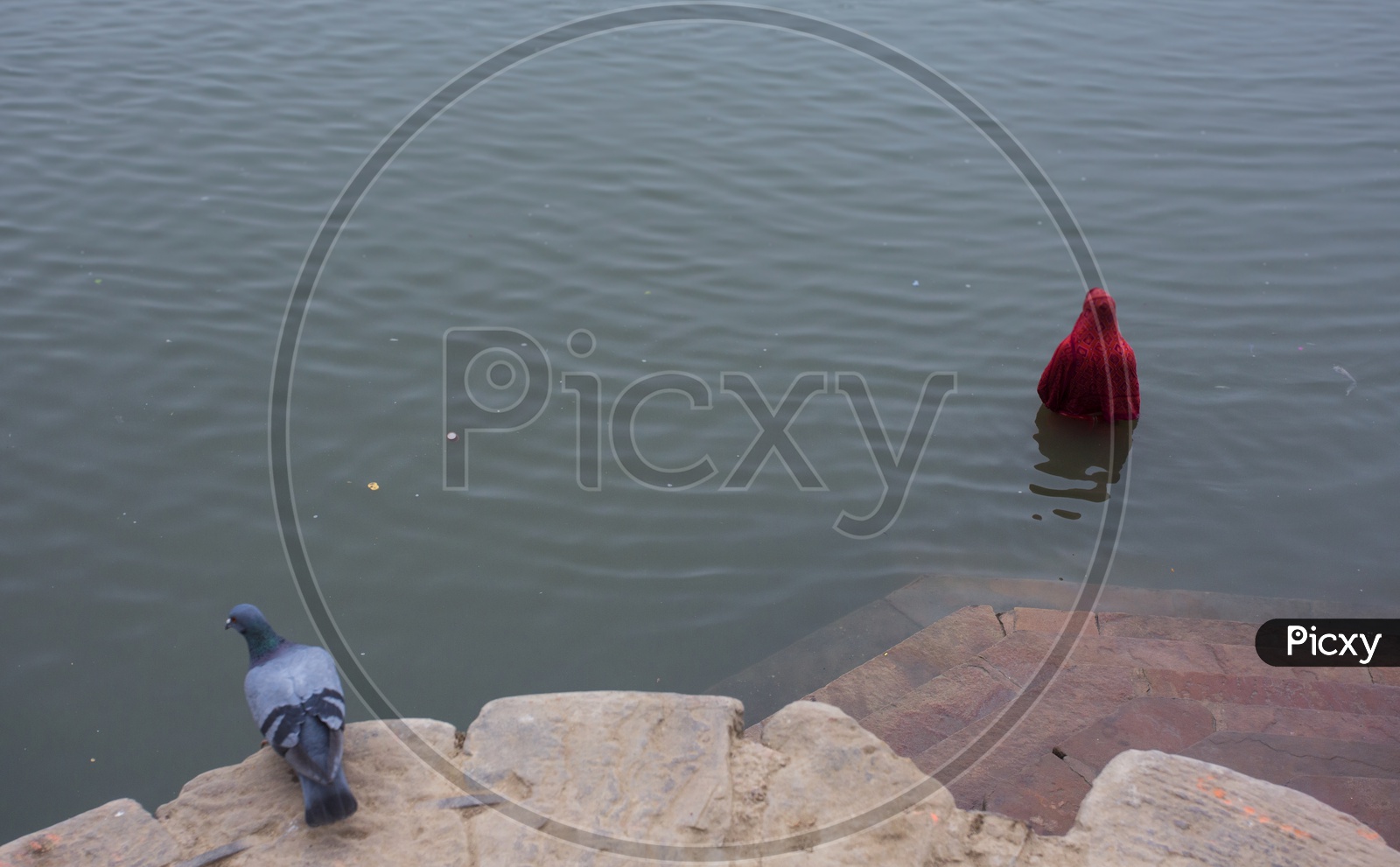 Piligrims Holy Dip in Ganga River / Women taking Holy Dip in Ganga River at Varanasi