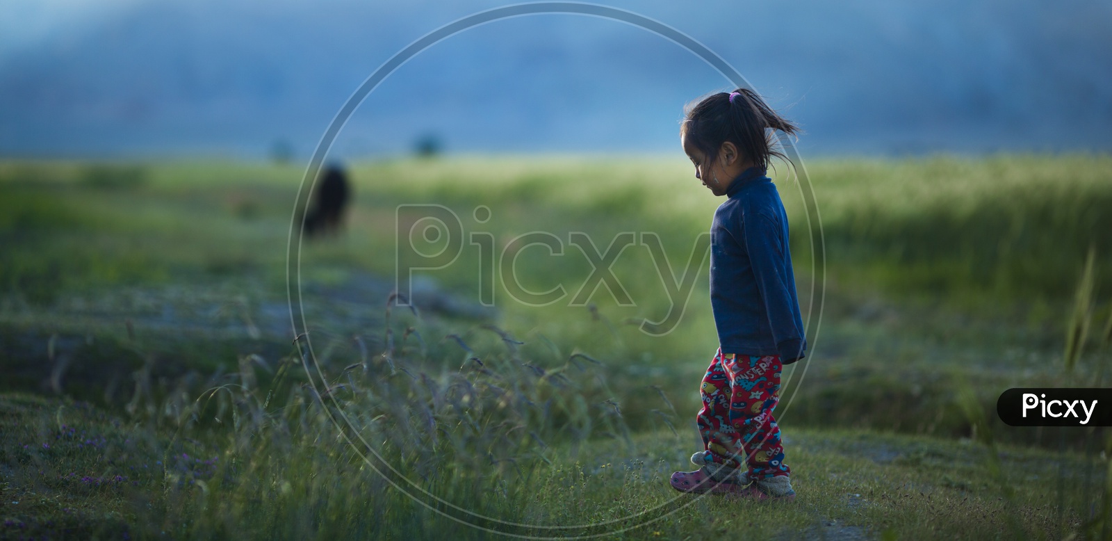 A Girl Child in Leh / Pastures in Leh