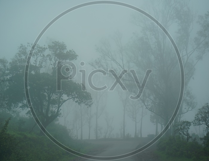 Views  of Chickmangalur / Valleys Chickmangalur/ Forests Scapes/ Foggy mornings Chickmangalur