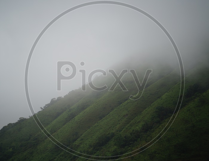 Foggy Mornings in Chickmangalur / Valley Views of Chickmangalur