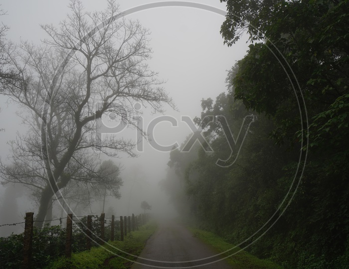 Foggy Mornings in Chickmangalur / Forests in Chickmangalur / Views of Valleys In Chickmangalur / Commuting Roads in Chickmangalur