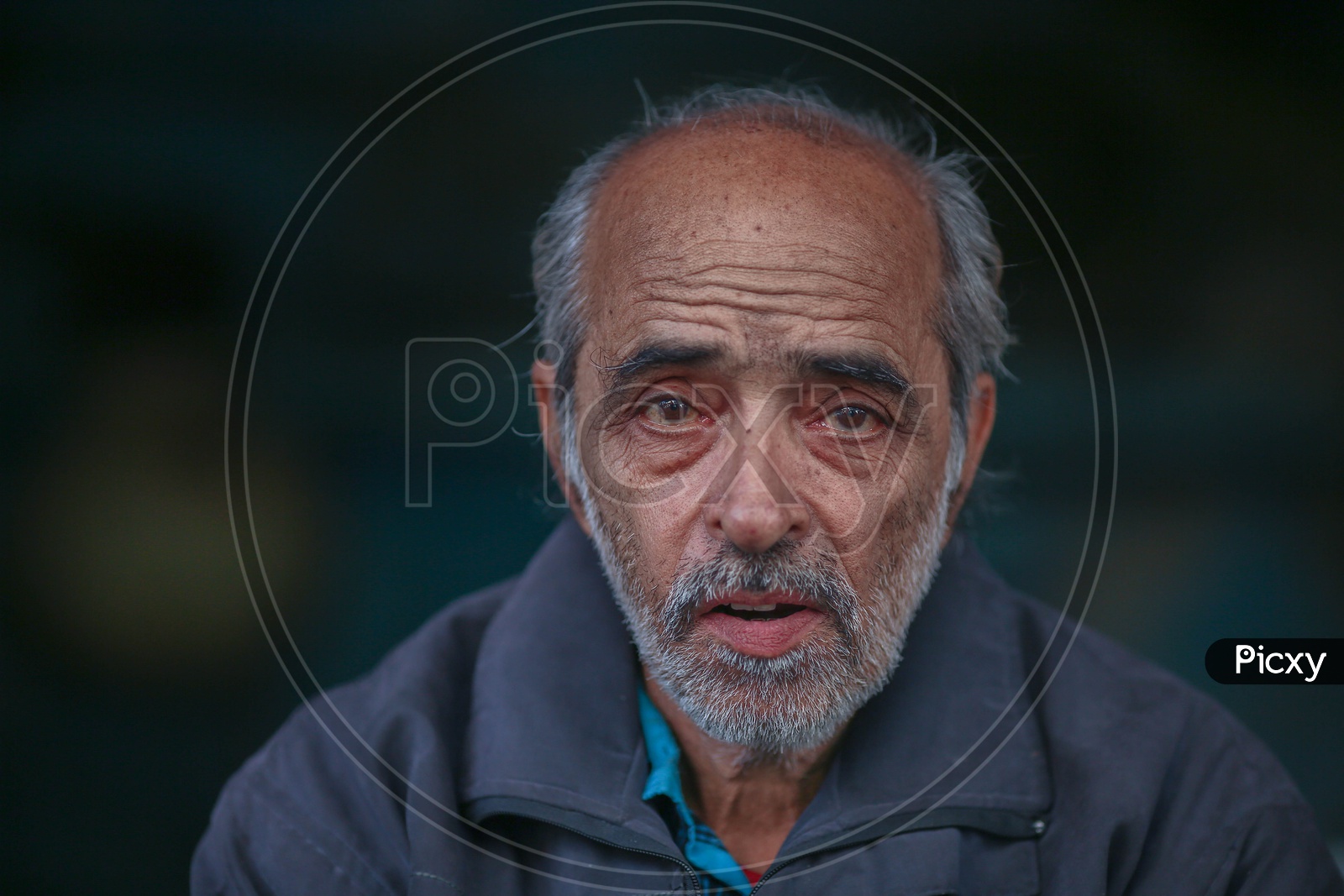 Portrait of an old man from Spiti region