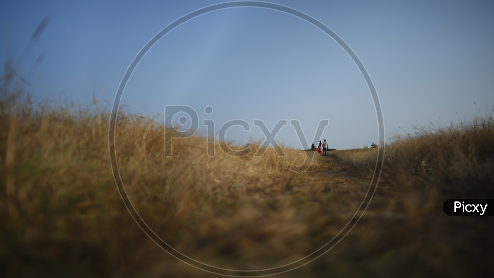 Couple walking in Grass land, Goa