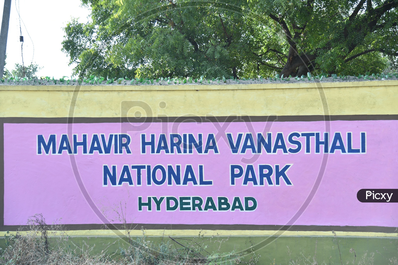 Mahavir Harina Vanasthali National Park, Mahavir Harina Vanasthali National Park, Auto Nagar, Hyderabad, Telangana, India