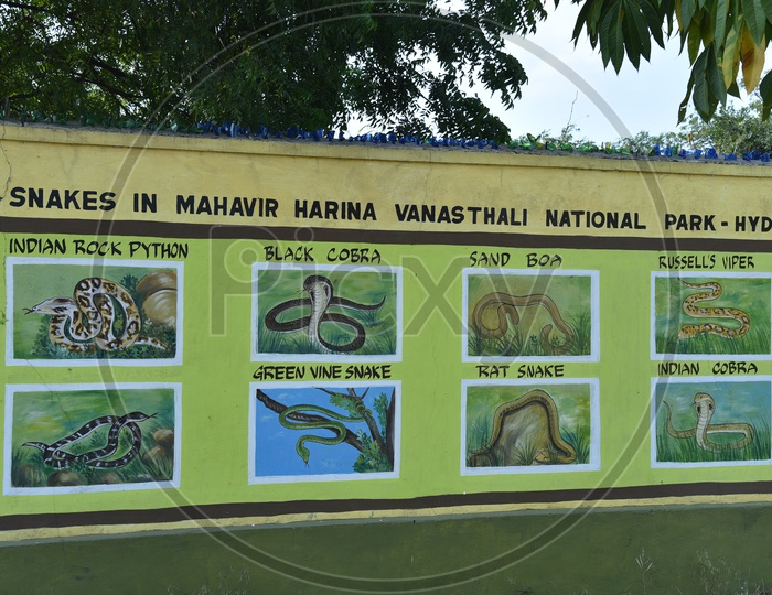 Mahavir Harina Vanasthali National Park, Auto Nagar, Hyderabad, Telangana, India