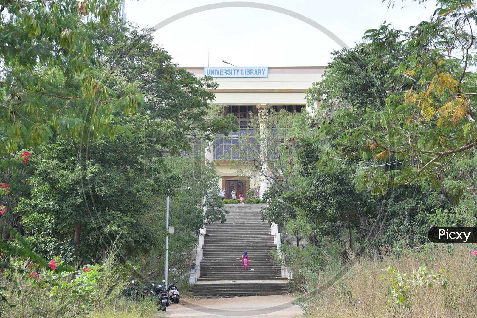 University Library, Osmania University