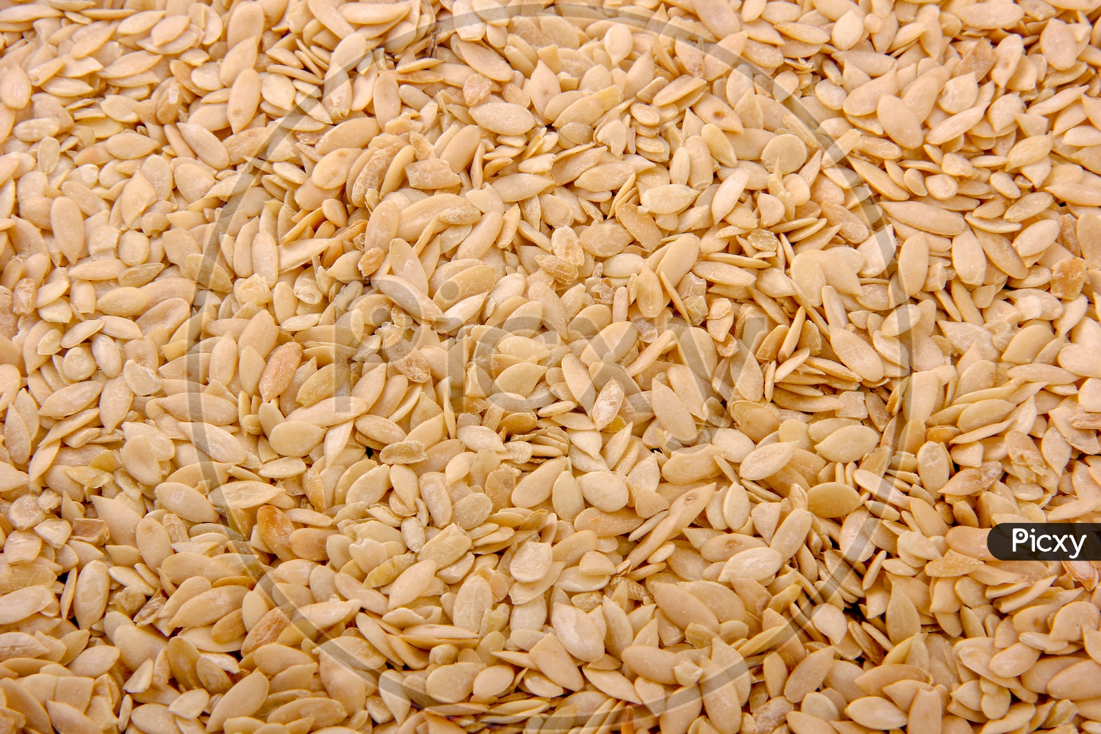 Dried Muskmelon Seeds Composition Shot Forming a Background
