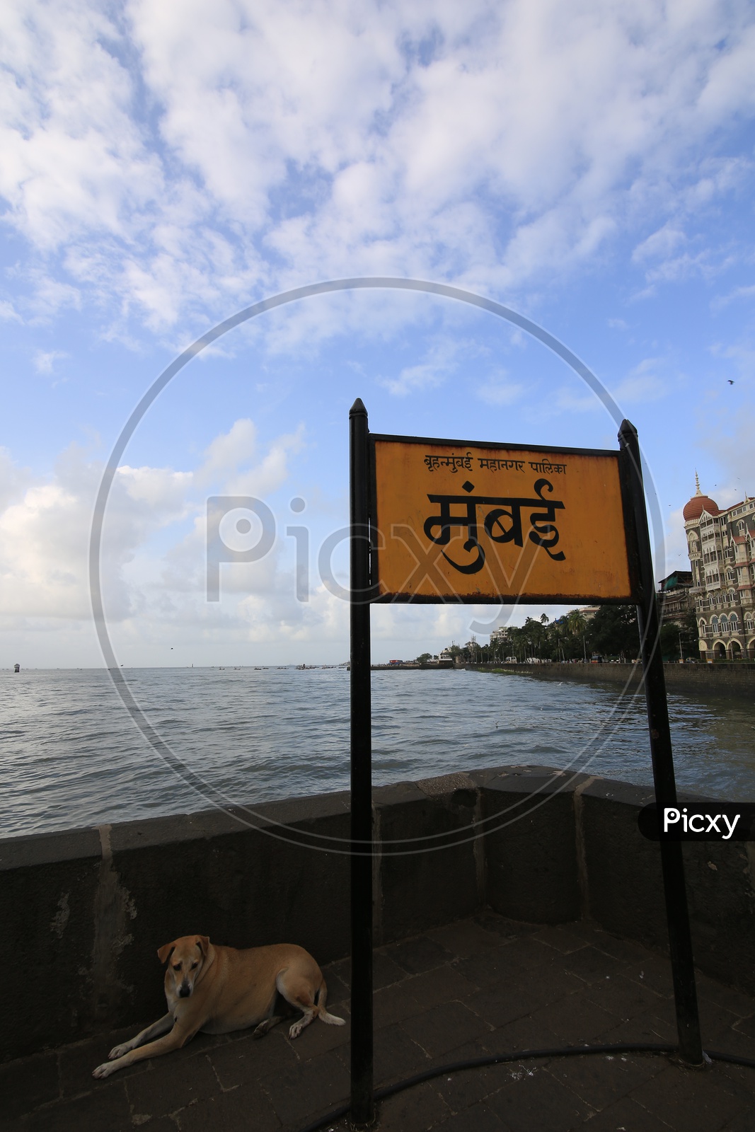 Mumbai Name Board In Hindi / Mumbai Name Board At Gateway Of India Mumbai