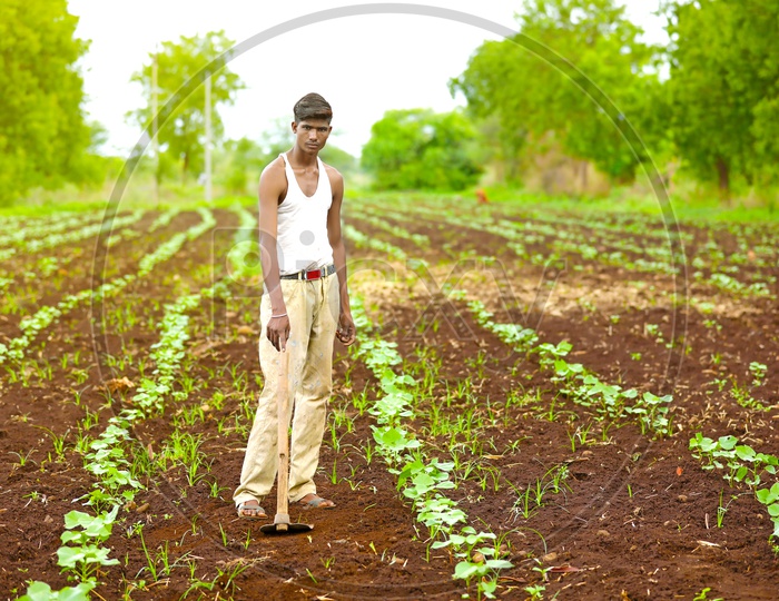 Indian Farmer working in Agriculture Field