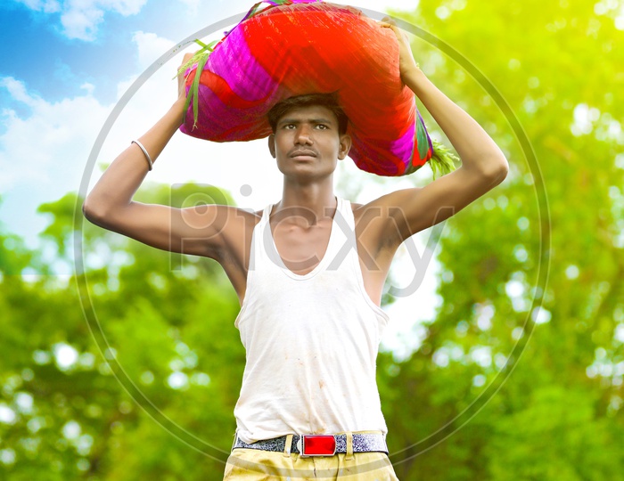 Indian man in Agriculture Field