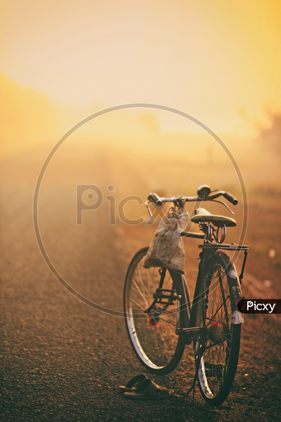 Cycle On Empty Road / Golden Hour Shot of Bicycle on an Empty road