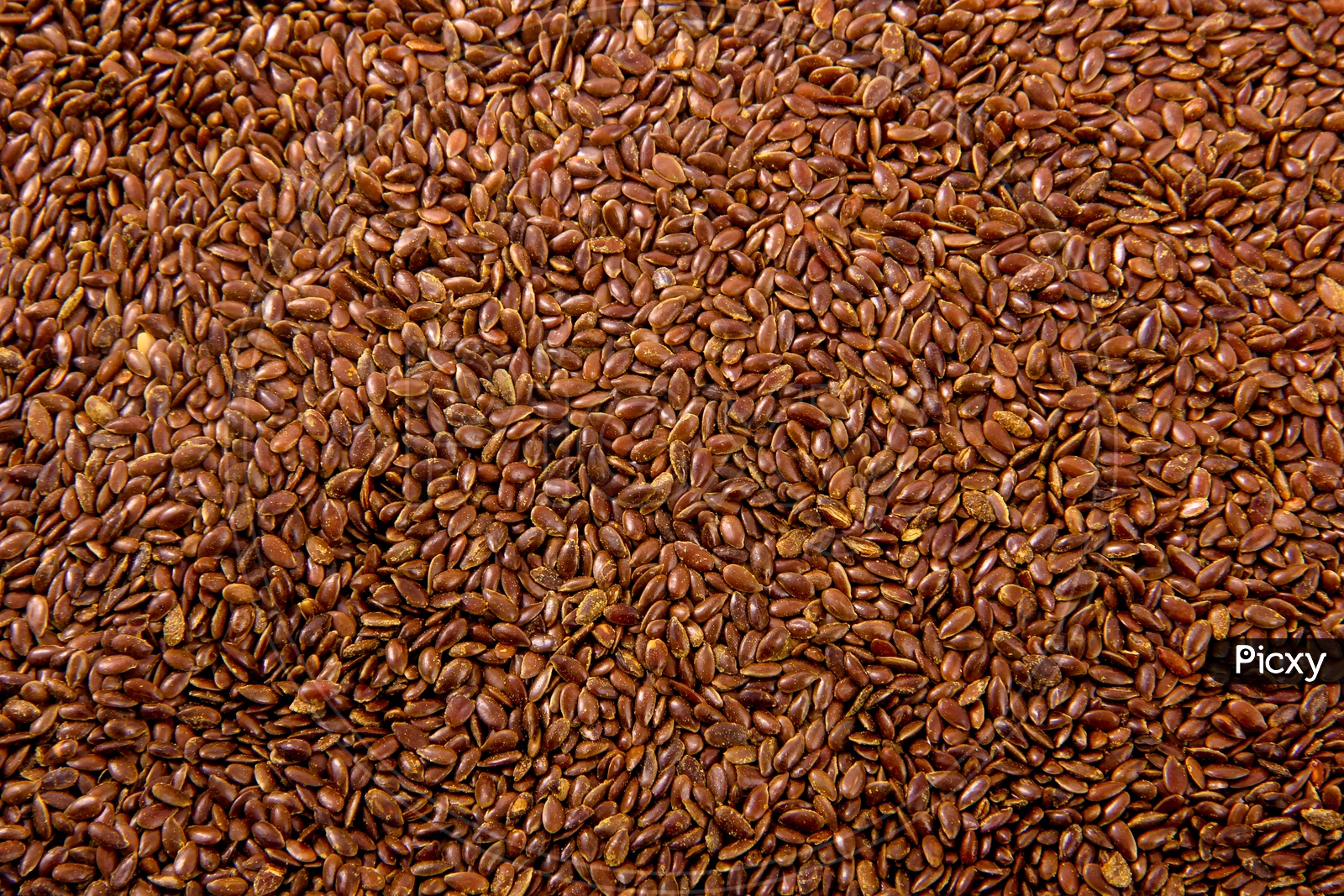 Flax Seeds Dried Composition Shot Forming a White Background