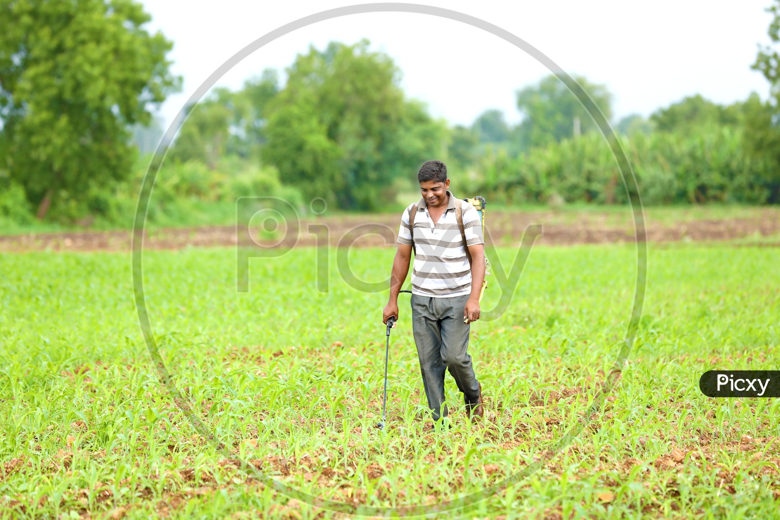 Farmer Spraying Pesticide at Agriculture Fields with smiling face