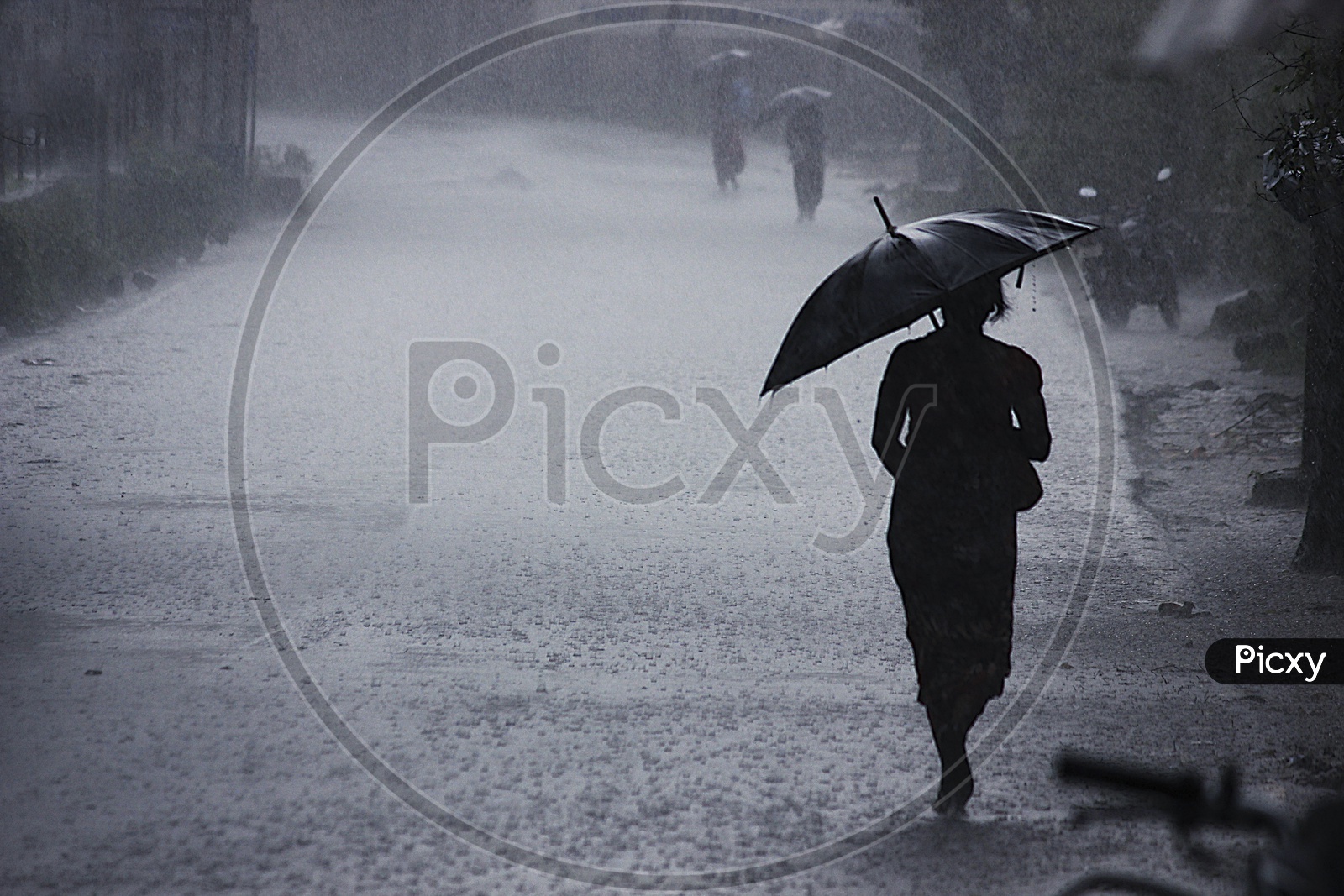 India Woman Walking Under an Umbrella On An Empty Road / Indian Women on a Rainy Day
